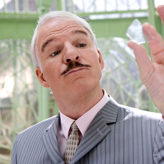 Pink Panther 2, The Picture 24