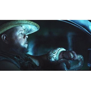 The Python Hunt Picture 1
