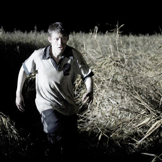 Reeds, The Picture 19