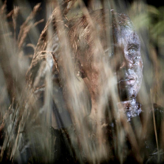Reeds, The Picture 22