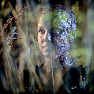 Reeds, The Picture 23