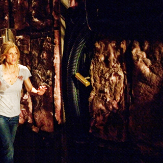 Resident, The Picture 3