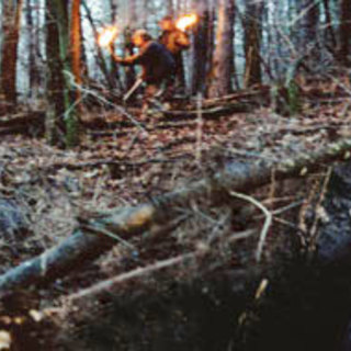 Road, The Picture 45