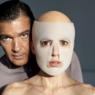 Skin I Live In, The Picture 1