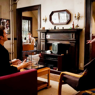 Social Network, The Picture 48