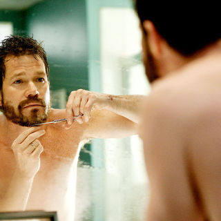 Dylan Walsh stars as David Harris in Screen Gems' The Stepfather (2009)