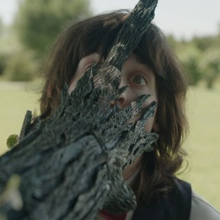 The Taking Tree Picture 1