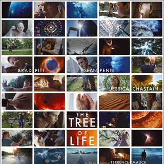 Tree Of Life, The Picture 5