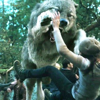 Twilight Saga's Eclipse, The Picture 42