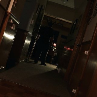 The Visitor (2026)