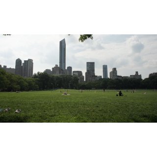 The Voices of New York (2026)