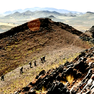 Way Back (2011), The Picture 5
