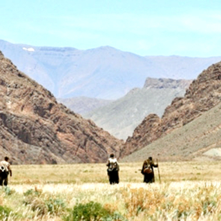 Way Back (2011), The Picture 6