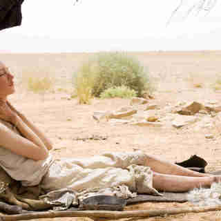 Way Back (2011), The Picture 32
