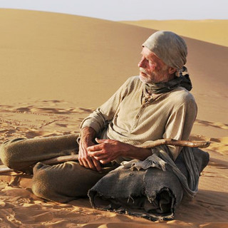 Way Back (2011), The Picture 33