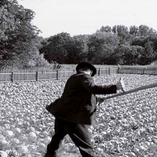 White Ribbon, The Picture 5