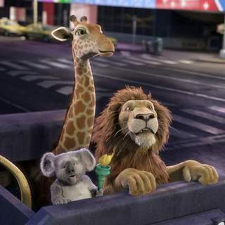 Wild, The Picture 3