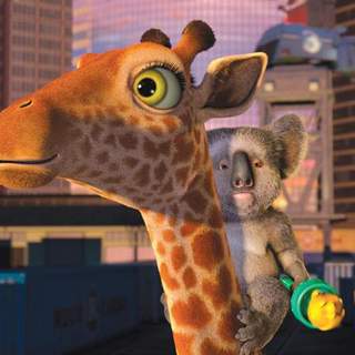 Wild, The Picture 12
