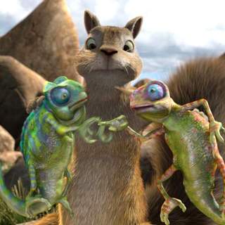 Wild, The Picture 14