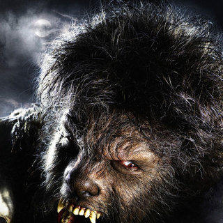 Wolfman, The Picture 3
