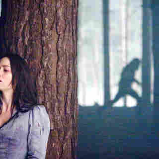 Wolfman, The Picture 10