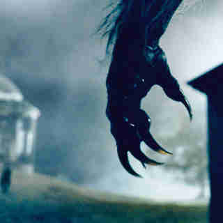 Wolfman, The Picture 18