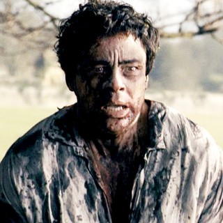 Wolfman, The Picture 23