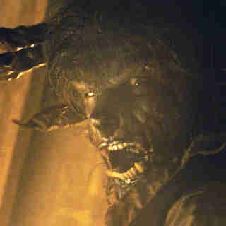 Wolfman, The Picture 30