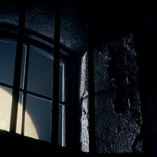 Wolfman, The Picture 34