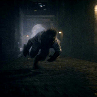 Wolfman, The Picture 48