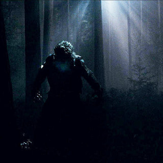 Wolfman, The Picture 50