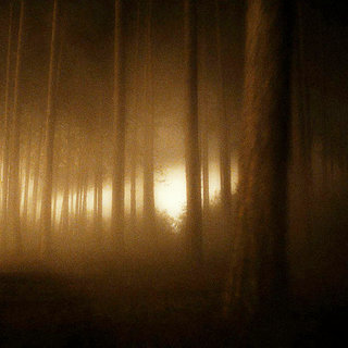 Wolfman, The Picture 53