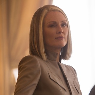 Hunger Games: Mockingjay, Part 2, The Picture 29
