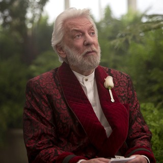 Hunger Games: Mockingjay, Part 2, The Picture 47