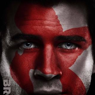 Hunger Games: Mockingjay, Part 2, The Picture 19