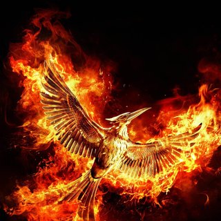 Hunger Games: Mockingjay, Part 2, The Picture 2
