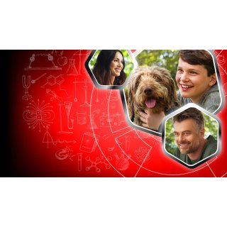 Think Like a Dog (2020)