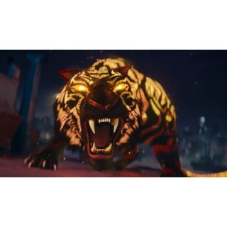 Tiger's Apprentice, The Picture 7