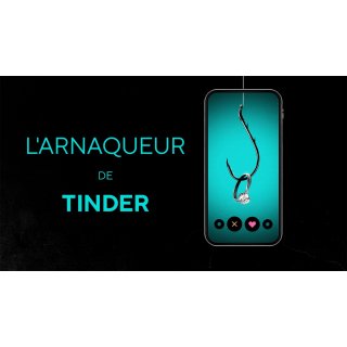 Tinder Swindler, The (2022)