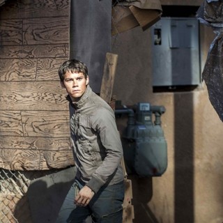 Maze Runner: The Scorch Trials Picture 1