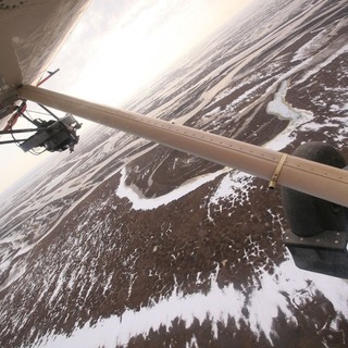 To The Arctic 3D Picture 8