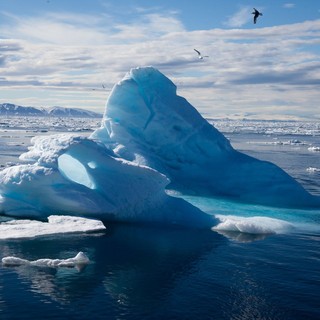 To The Arctic 3D Picture 10