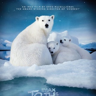 To the Arctic 3D Picture 1
