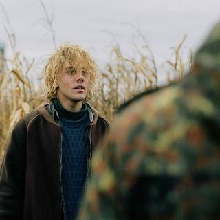 Tom At The Farm Picture 2