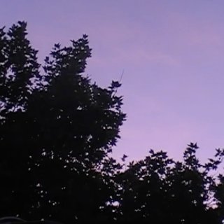 Towards The Night (2026)