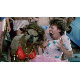 Toxic Avenger, The (1984)