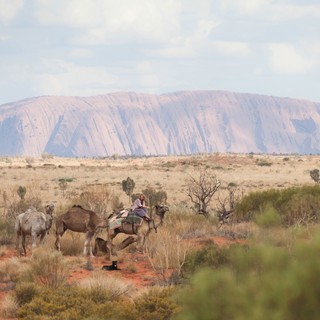 Mia Wasikowska stars as Robyn Davidson in The Weinstein Company's Tracks (2014)