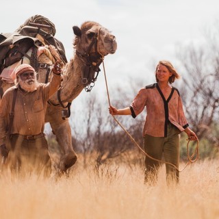 Tracks Picture 23