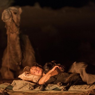 Mia Wasikowska stars as Robyn Davidson in The Weinstein Company's Tracks (2014)