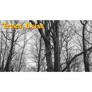 Trees, exist (2026)